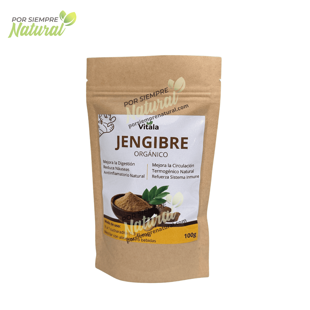 Jengibre Orgánico Polvo 100g