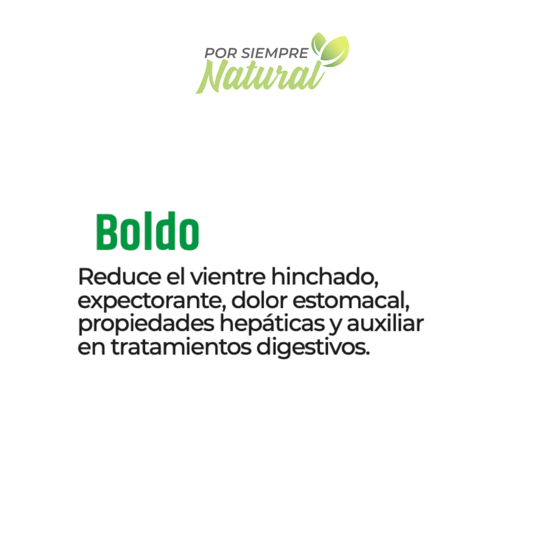 Boldo Té 30 Sobres