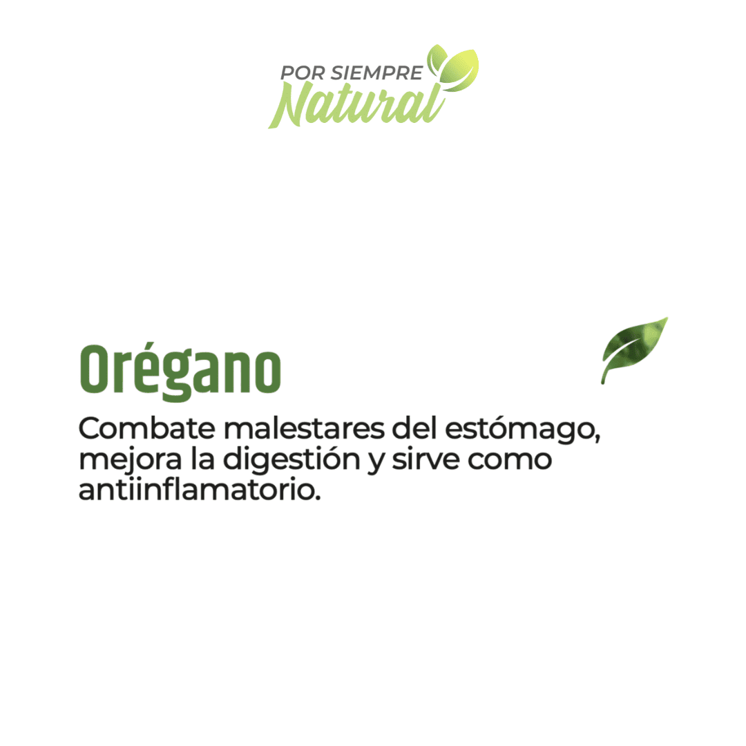 Orégano Té 30 Sobres