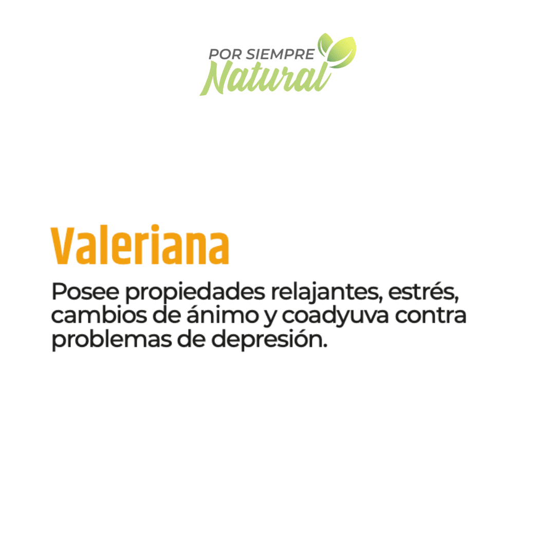 Valeriana Té 30 Sobres