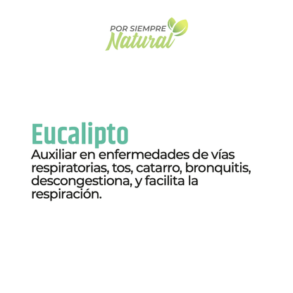Eucalipto Té 30 Sobres