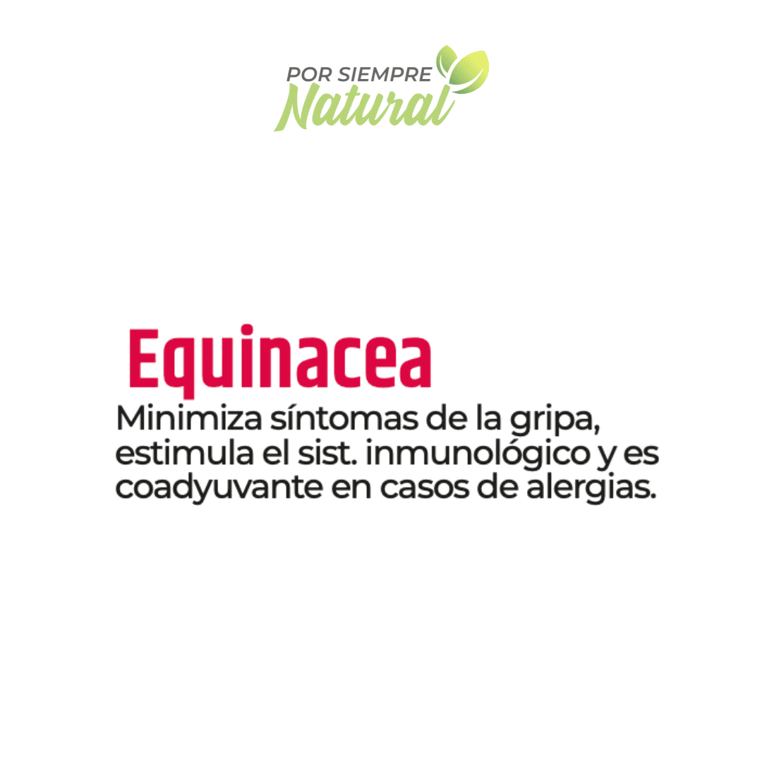 Equinacea Té 30 Sobres