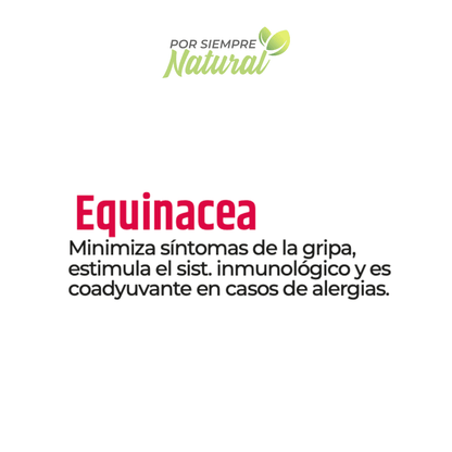 Equinacea Té 30 Sobres