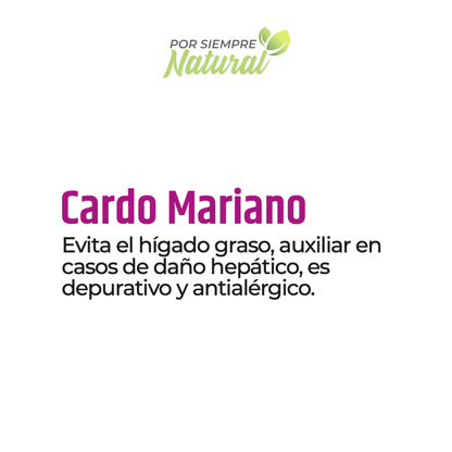 Cardo Mariano Té 30 Sobres