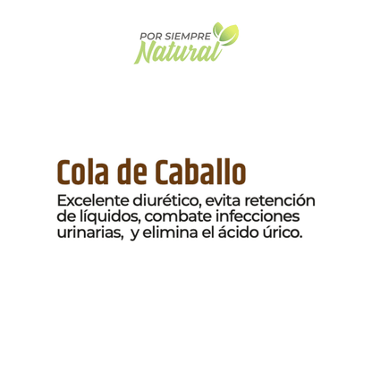 Cola de Caballo Té 30 Sobres