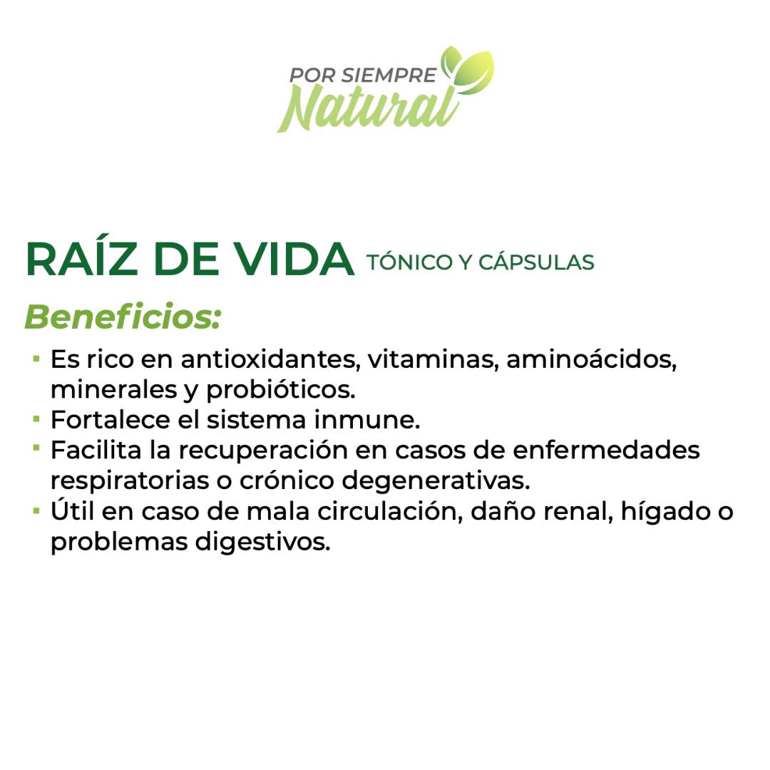 Raíz de Vida Jugo Verde 1L