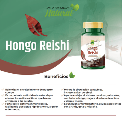 Hongo Reishi 60 Cápsulas