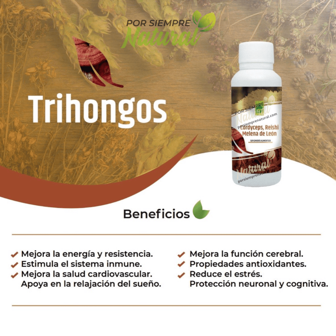 Cordyceps, Reishi y Melena de León Extracto 80mL