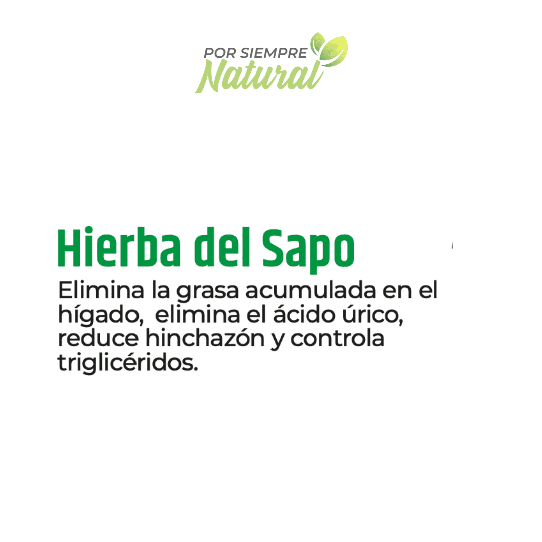 Hierba del Sapo Té 30 Sobres